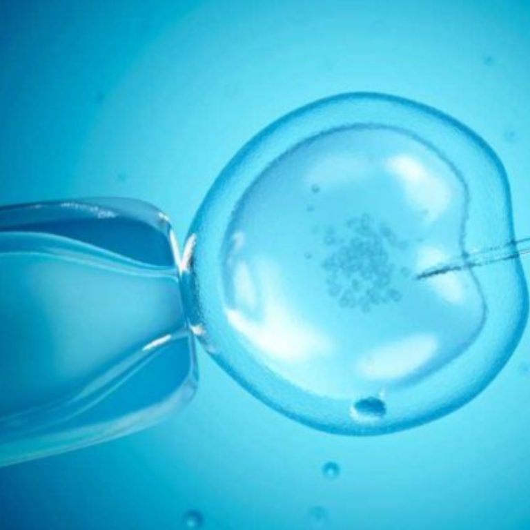 azospermi-nedenleri-ve-tedavi-bas-ari-orani_1692011988