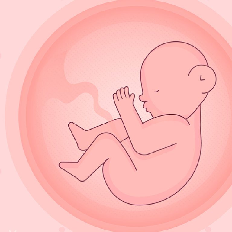 blastoki-st_1692014097