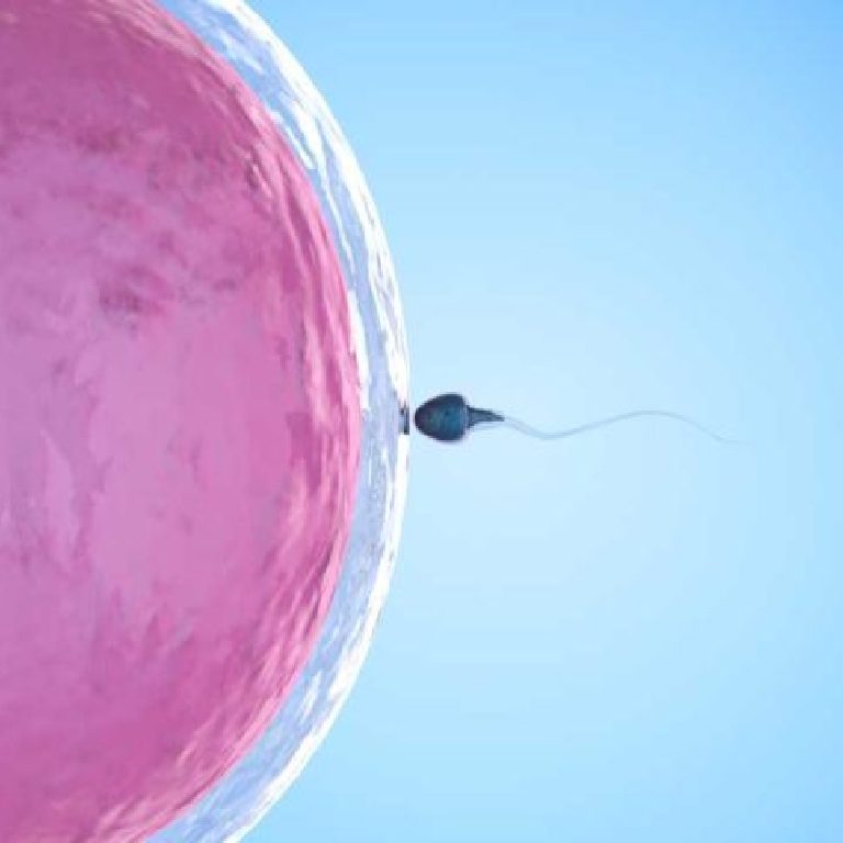 mikroteset-ameliyati_1692005134