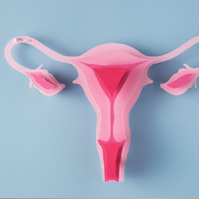 rahi-m-fi-lmi_1692013509