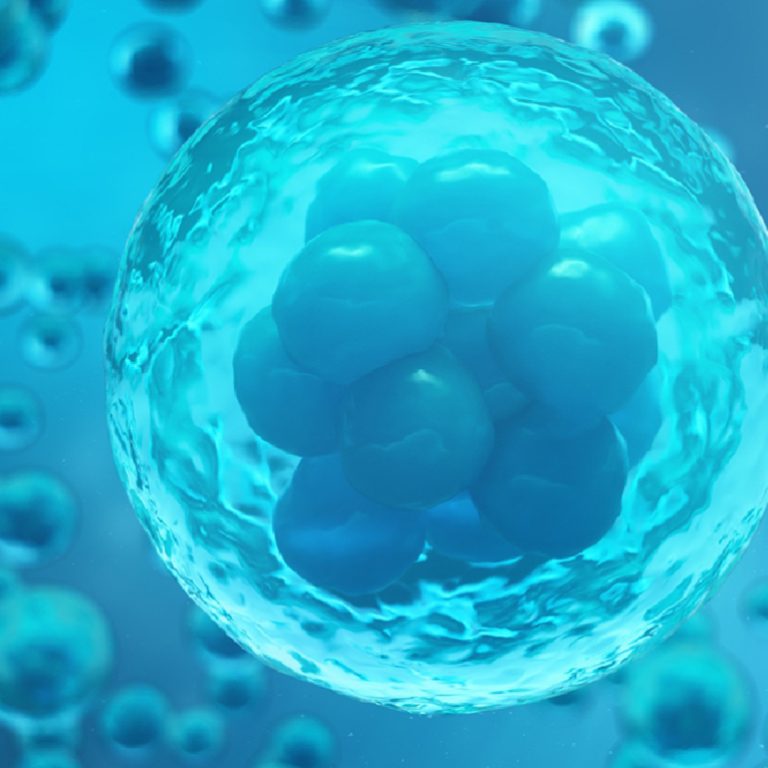 transfer-sonrasi-kalan_1692012937